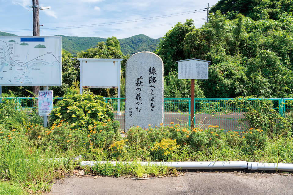 線路へこぼるゝ萩の花かな